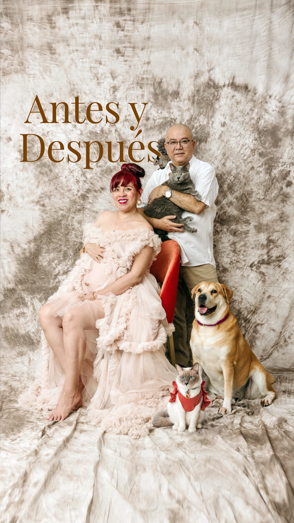 Primera vez fotografiando tantas mascotas juntas, incluyendo una que literal se me subió a la cabeza 😅🤣🤣🤣

Creo que la pregunta ¿Aceptan mascotas en sus sesiones fotográficas de maternidad? ha quedado totalmente contestada. 

#sesiónmaternidad  #sesionmascotas #perrhijos #gatitos #ardilla